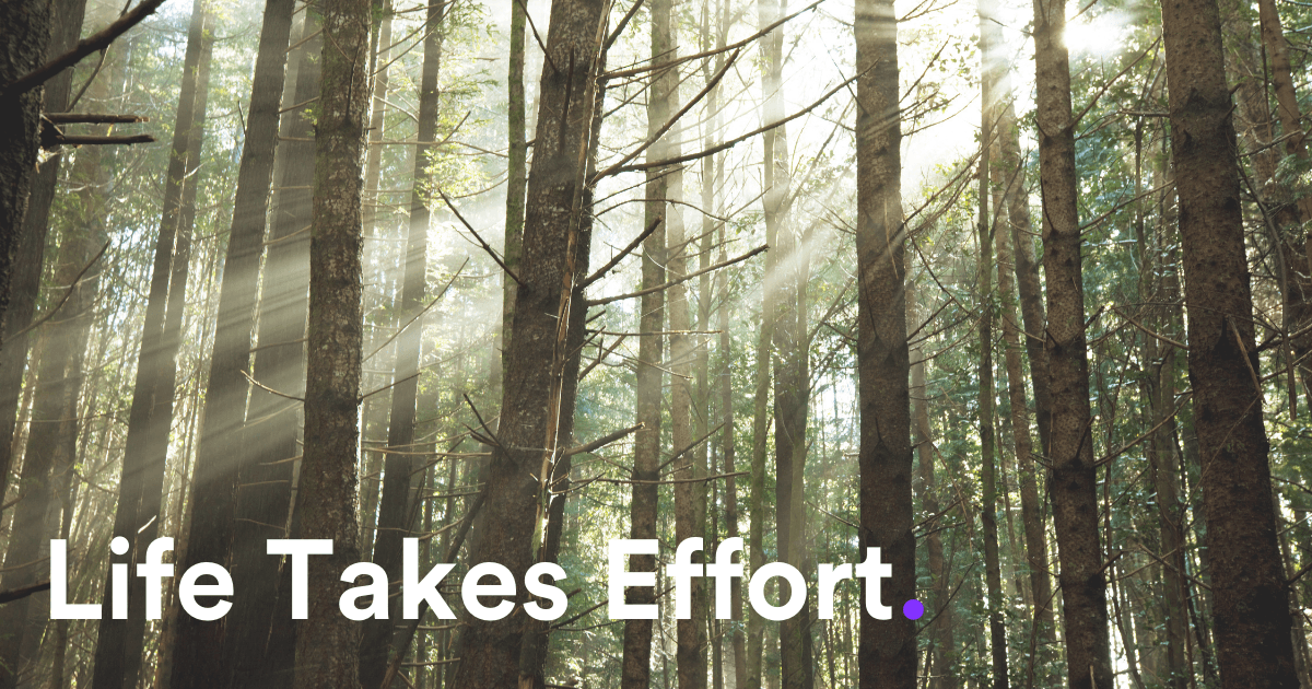 The Improver - Revolutionary Takeover #2 Life Takes Effort